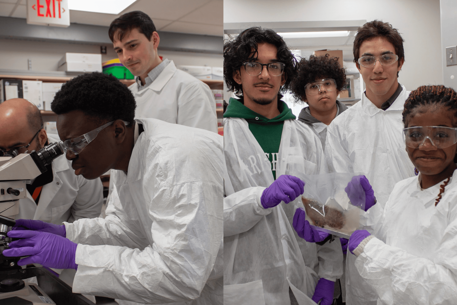 Pathology Day 2025 Office Of New Haven Affairs